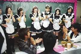 Budget Travel to Maid cafe adult